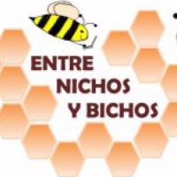 (c) Nichosybichos.com